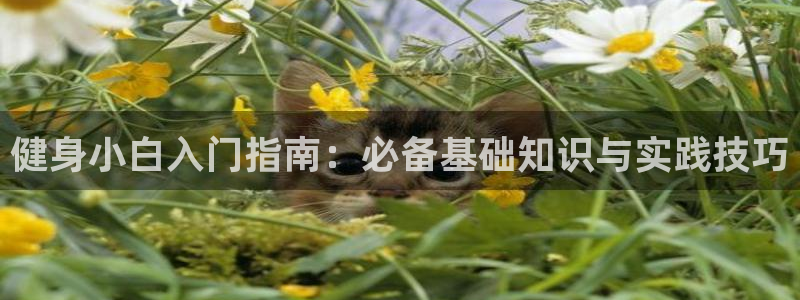 qy球友会体育(中国)官方网站