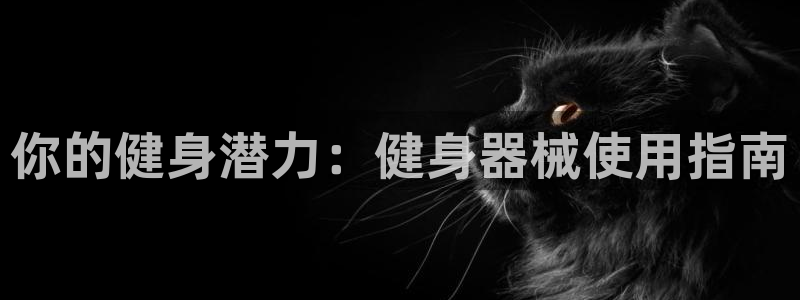 QY球友会官网
