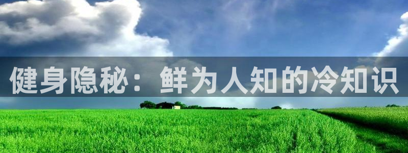 QY球友会体育官方平台