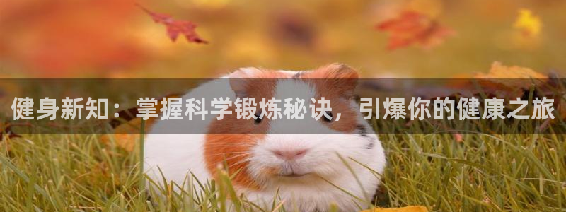 QY球友会2