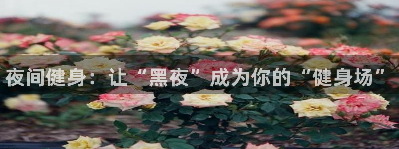 qy千亿球友会app下载